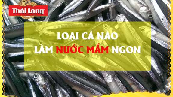 LOẠI CÁ NÀO LÀM ĐƯỢC NƯỚC MẮM NGON